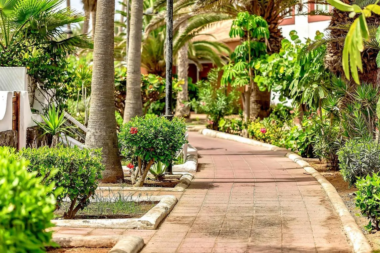 Parque Santiago 2 Luxury Studio Apartment Playa de las Americas  Spain